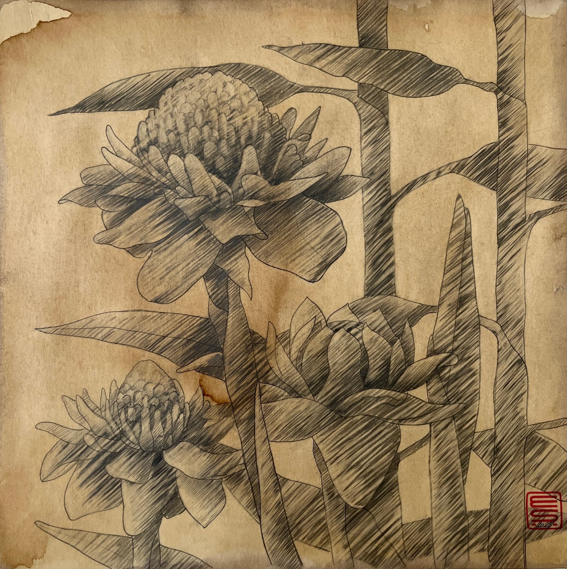Flowers 13