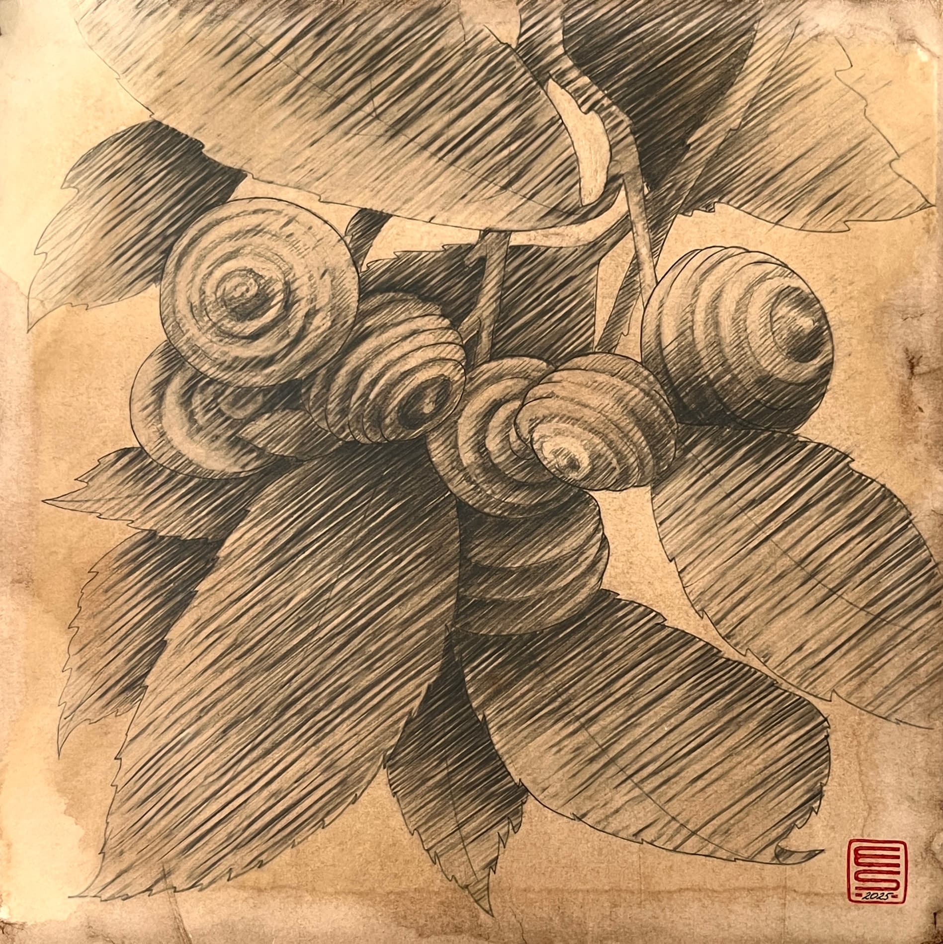 Flowers 12