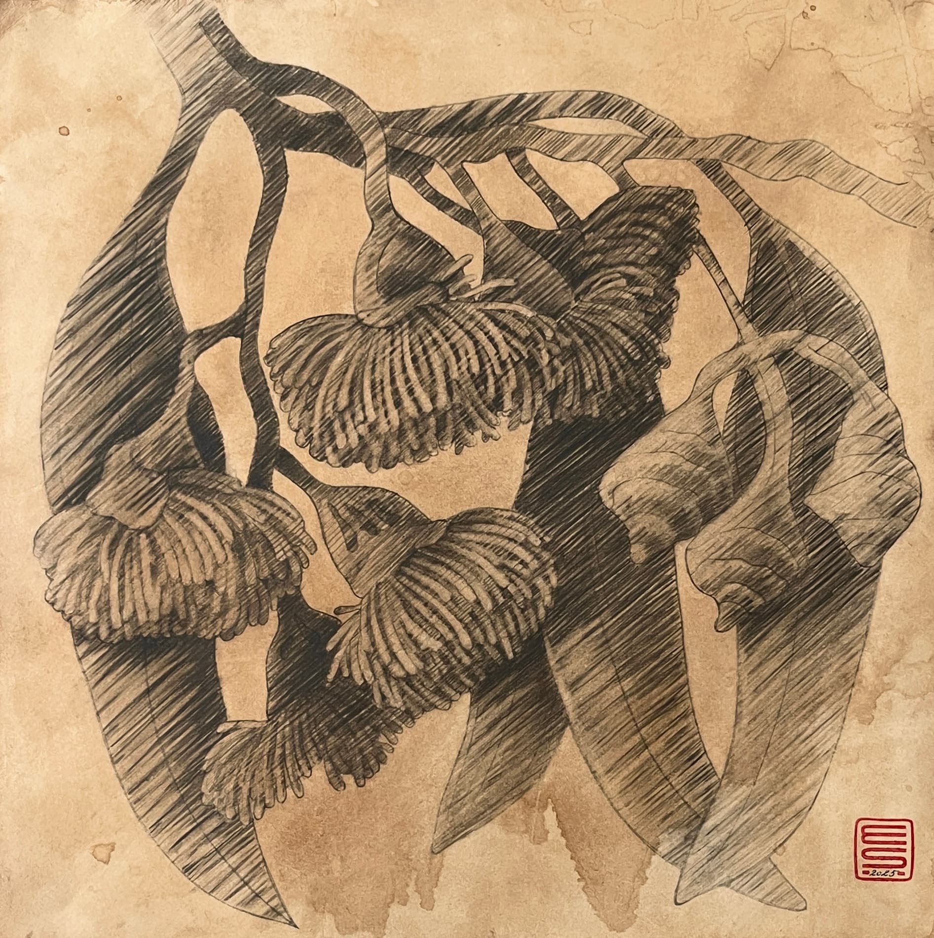 Flowers 11
