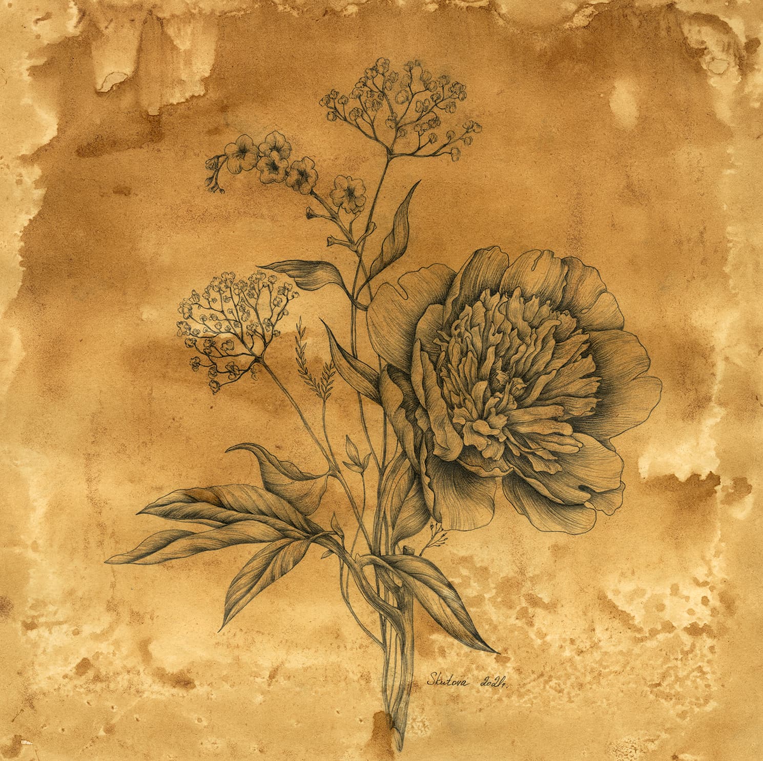 Flowers 1