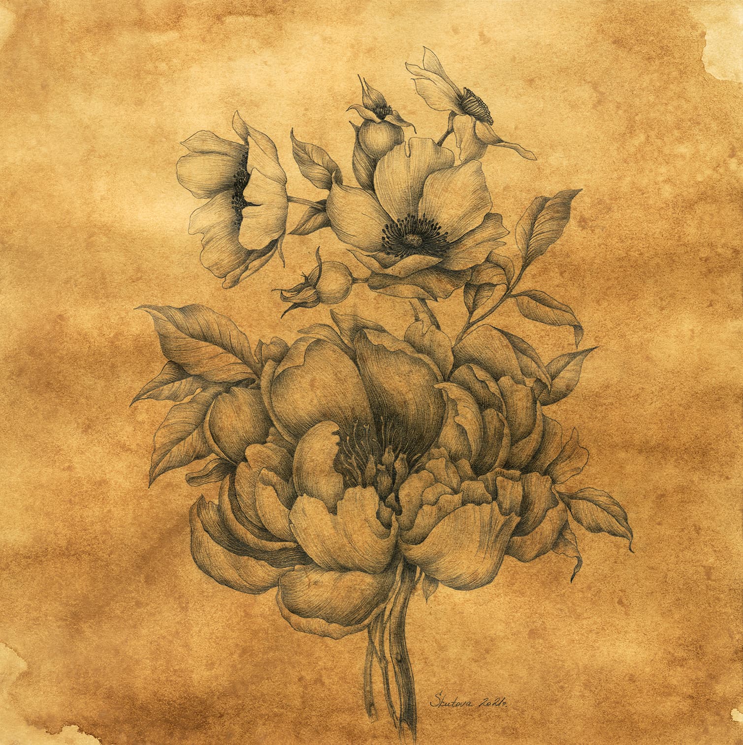 Flowers 2